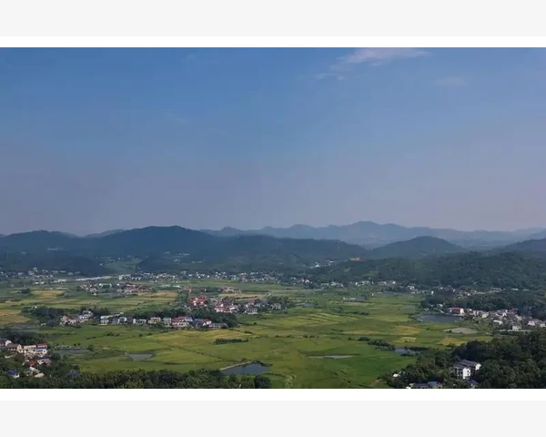 气血不足与贫血的关系探究：中医角度解析